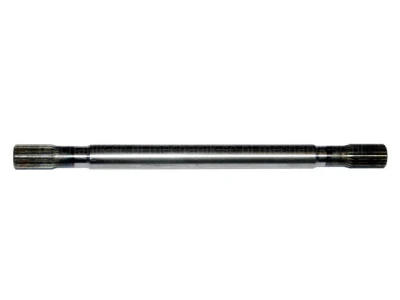z32613.jpg