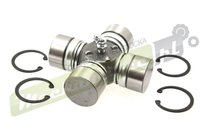 PFK40111_1.jpg