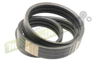 D41990055.jpg