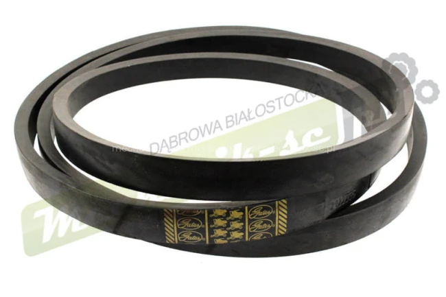 785173.jpg