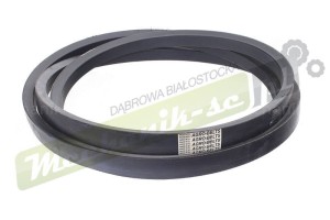 Z39313.jpg