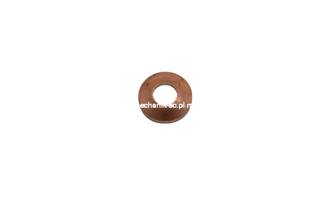 504262598_MARKETING.png