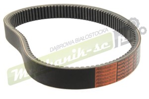 D41994300.jpg