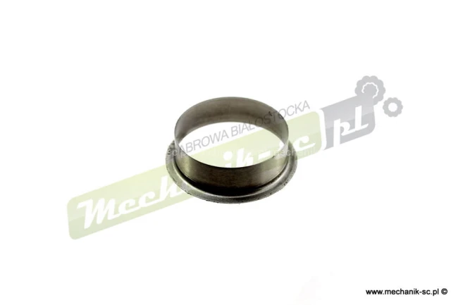 SKF99153_2.jpg