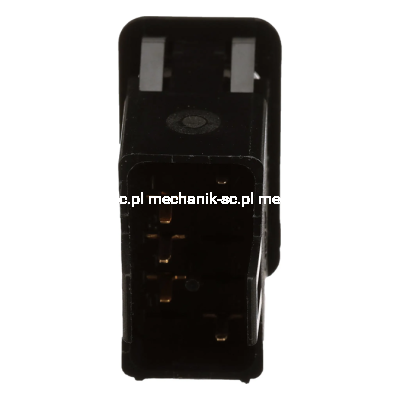 47940376_BACK.png