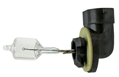 447128V50WPGJ13.jpg