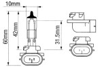 1955-2.jpg