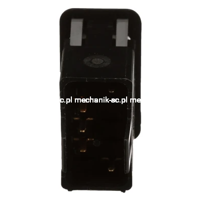 47940376_BACK.png