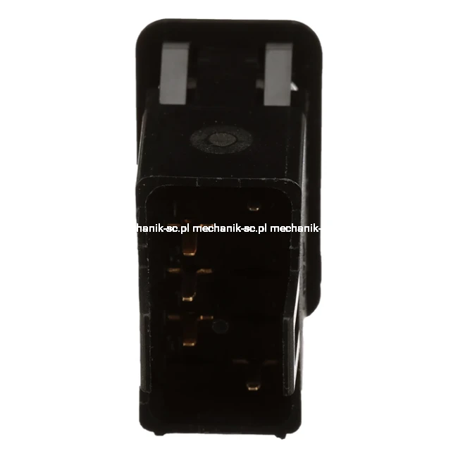47940376_BACK.png