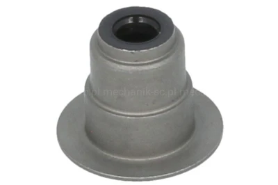 RE529187.jpg