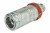 3cfpv1_2215f_#2.jpg