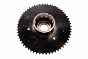 84453557.jpg