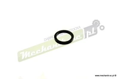T20055.jpg