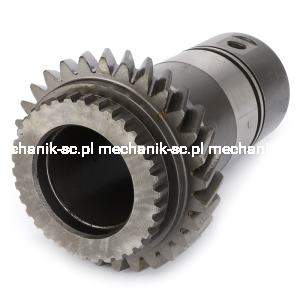 V342898002.png