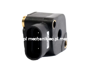 87605247_BACK (1).png