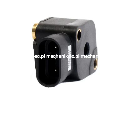 87605247_BACK (1).png