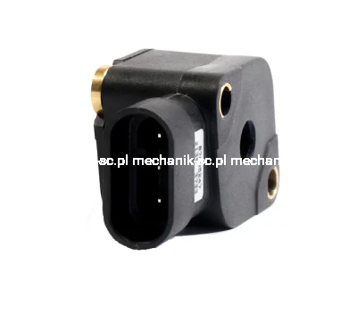 87605247_BACK (1).png