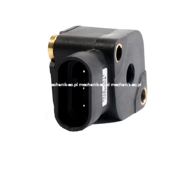 87605247_BACK (1).png
