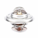 V836115646.jpeg