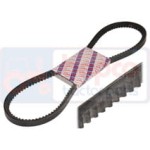 144-311.jpg