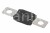 sen20998-lm_#1.jpg