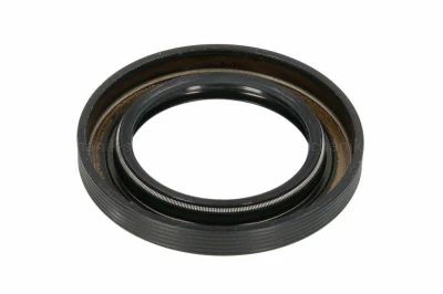5840333258zf_#2.jpg