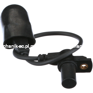47766973_MARKETING.png