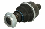 rh54-a100_#4.jpg