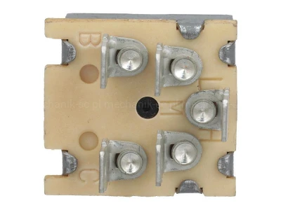 245258A1_BACK.jpg