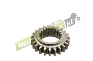1867254m1.jpg