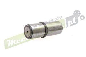485-20T.jpg