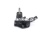 V836766976.png