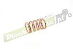 08058_1.jpg