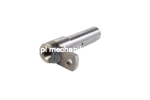 5142048_MARKETING.png