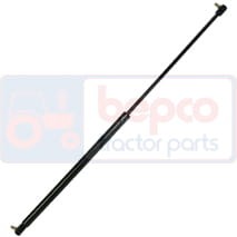 3389556.jpg