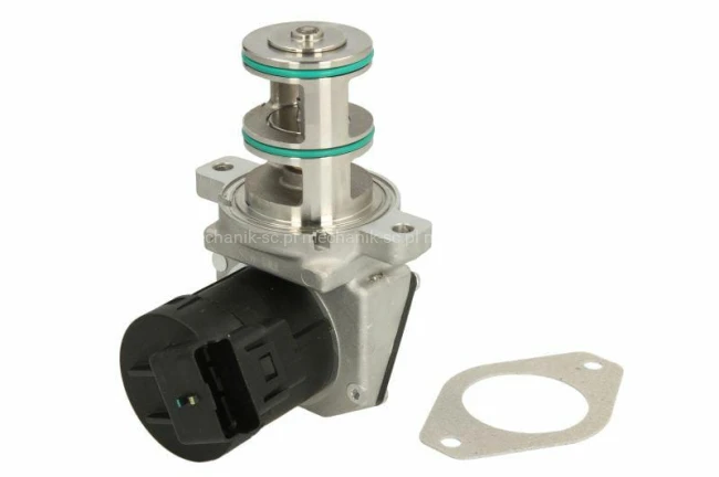 ent500155_#1.jpg