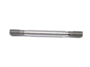 z38336.jpg