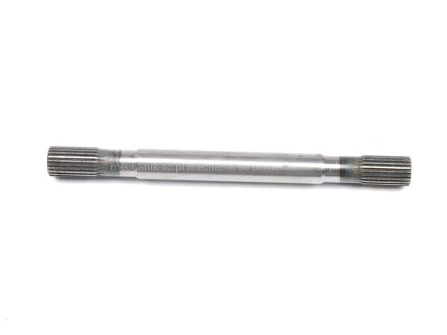 z38336.jpg