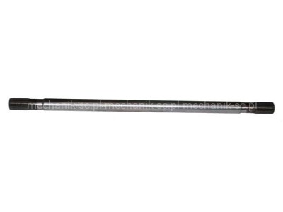 z38335.jpg