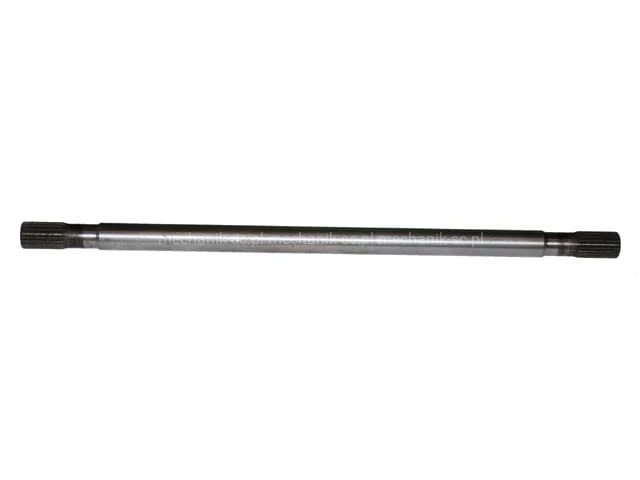 z38335.jpg