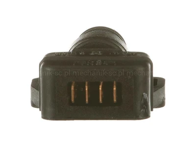 47132449_BACK.jpg