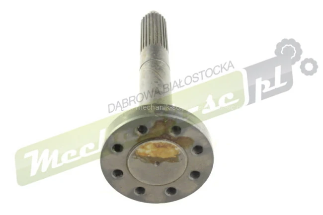 Z11407_3.jpg