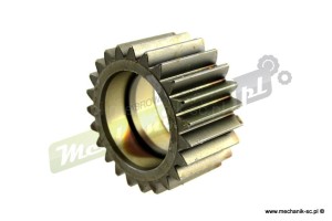 6431-24_2.jpg