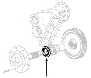 6407-66.jpg