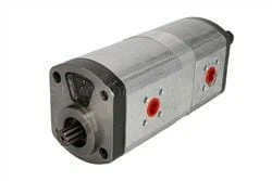 1pn_1pn_124_#1.jpg