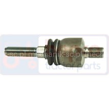 497-175.jpg
