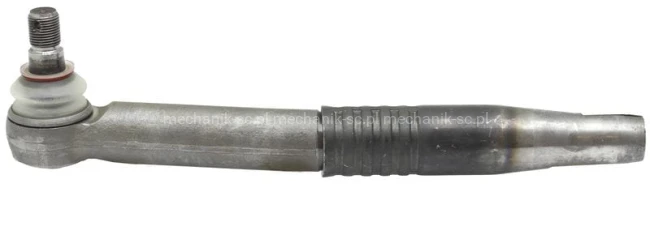 495-262.JPG