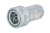 anv_38_gas_f_#1.jpg