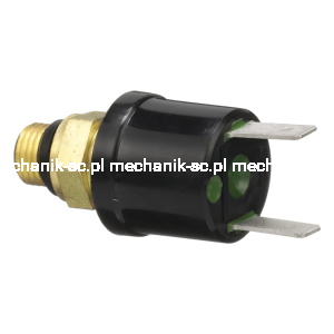 81867735_MARKETING.png