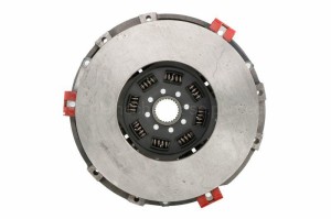 AL658922.jpg